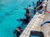 photo1698154846